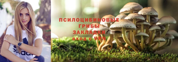 бошки Мурманск