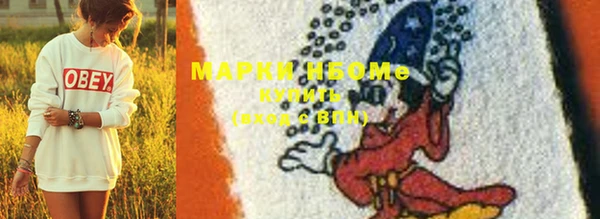 шишки Кострома