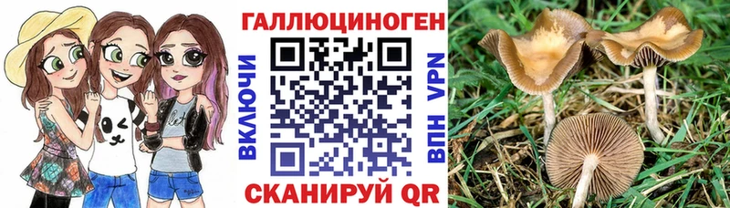 Псилоцибиновые грибы мухоморы  Купить  Удачный 